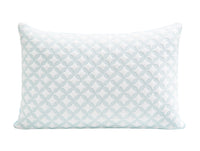 ArcticFlex Pillow
