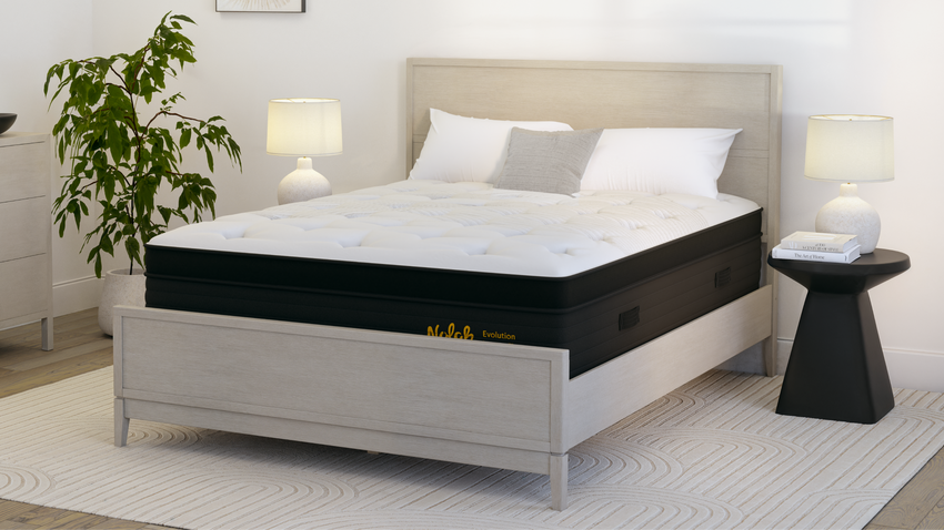 Bedroom with Nolah Evolution Mattress on the Mesa Bed Frame in Fieldstone